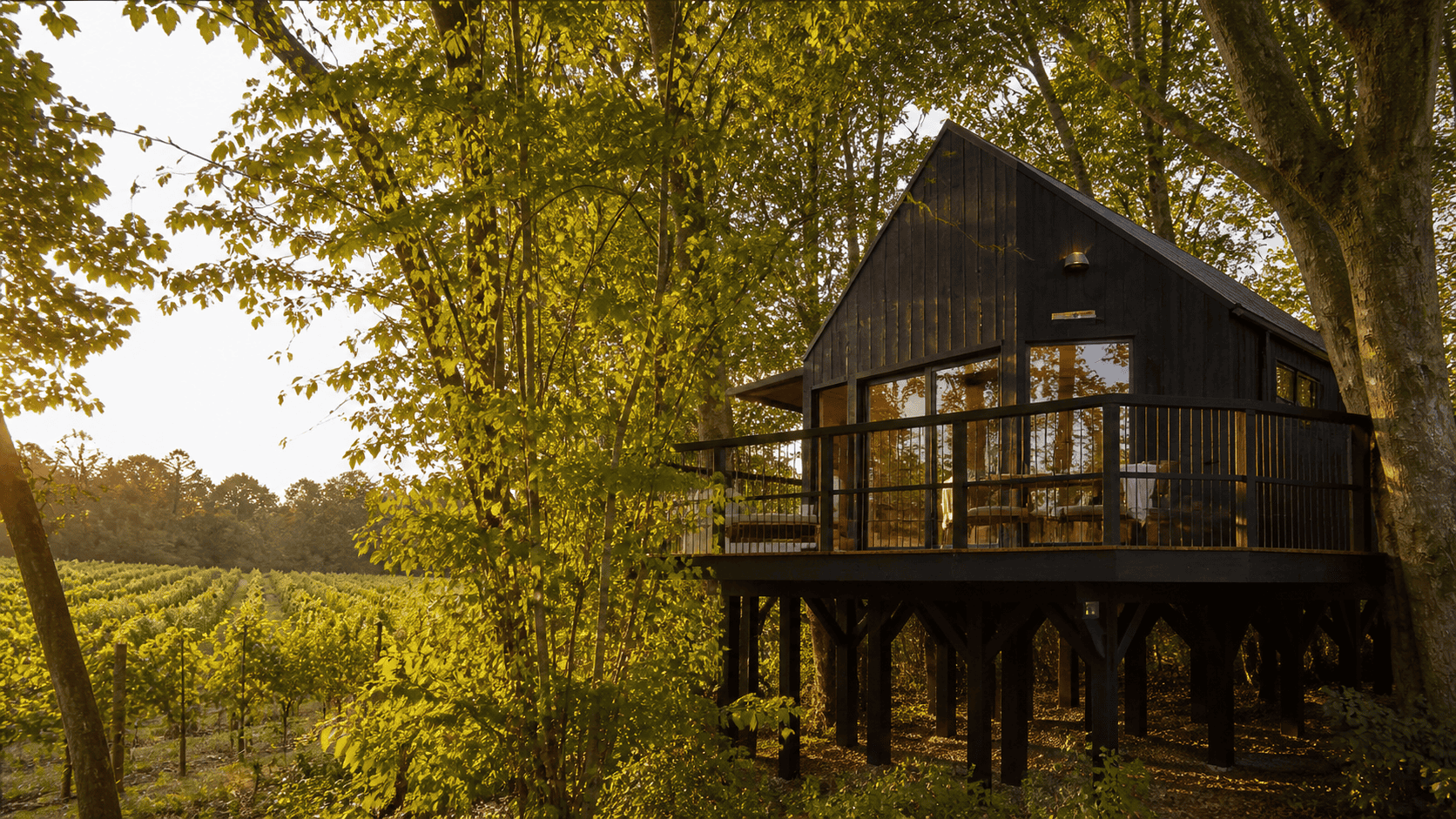Treehouse surrounded by lush greenery and vineyard in UK - The Perigord Treehouse by Wild Escapes