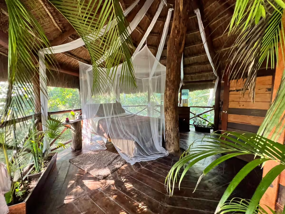 Treehouse-Leona-Vicario