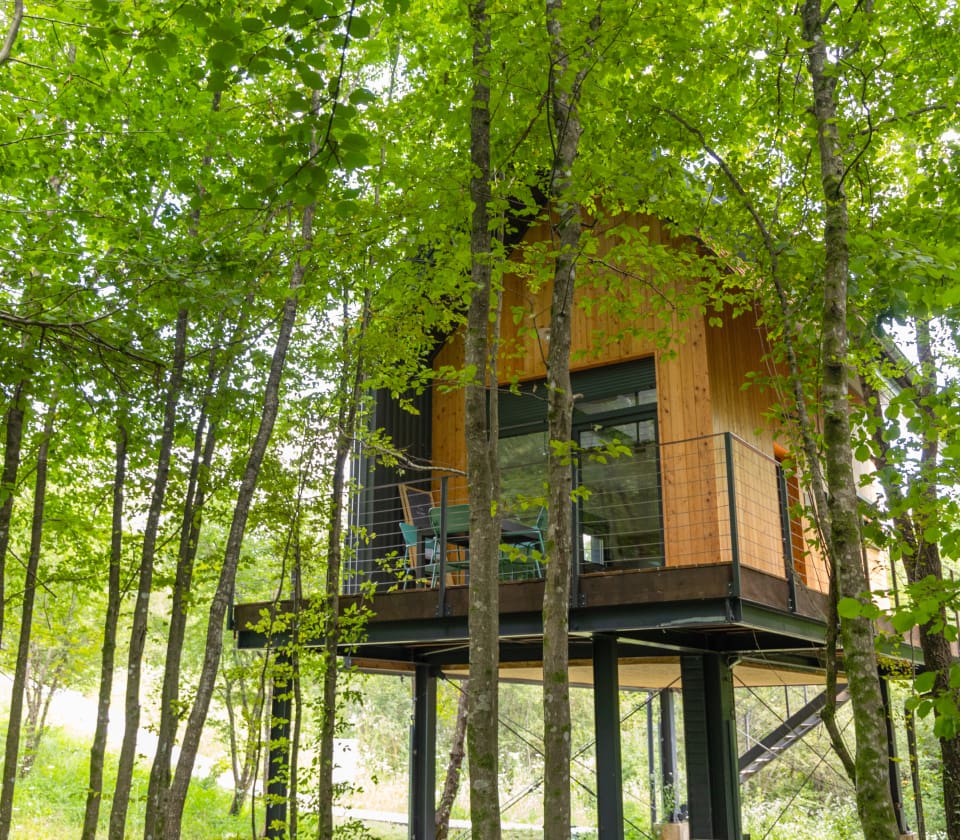 Forest sanctuary at Tree Elements Croatia featuring elemental architecture inspired by Earth, Water, and Wind.