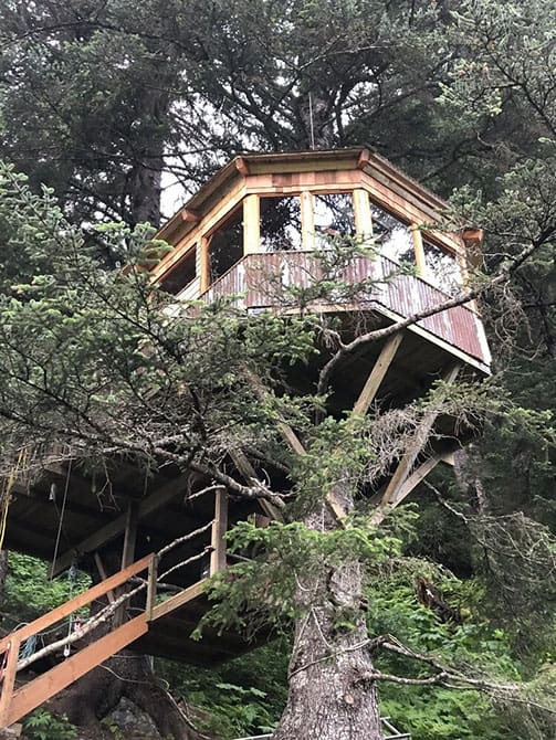 Tree House Cove Lodge - a rustic treehouse cabins overlooking Kachemak Bay during sunset, part of a remote Alaska adventure retreat.